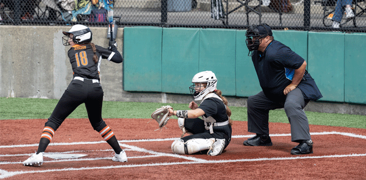 Softball player at bat